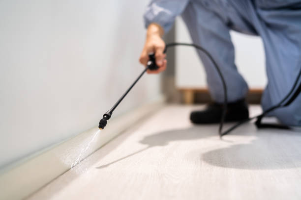 Licensed Termite Control service in Maeser, UT - Nex Pest Control