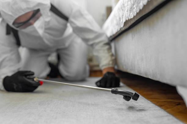 Professional Termite Control technician working in Maeser, UT