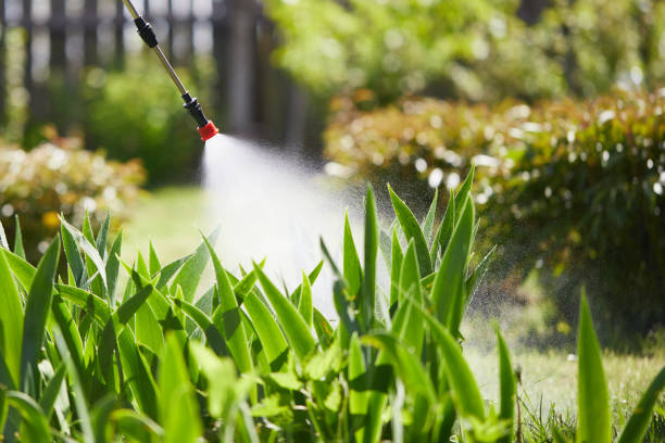 24/7 Emergency Termite Control experts in Maeser, UT