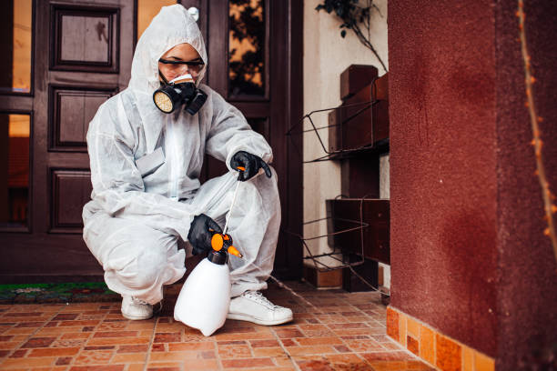 Reliable Termite Control contractor in Maeser, UT by Nex Pest Control